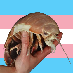Heya, Im Lavender/Maple. Im trans, 26, I use she/her and also the lions would win.
Hope ya have a good day :D