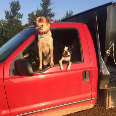 mounce_kerry's profile picture. Papa to 7. Hubby to 1. Dad to 4. Cattleman. 300 mile club. Hoi Polloi. Molon Labe. D1