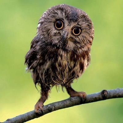 Desire3301's profile picture. You can't make an omelette without breaking eggs.