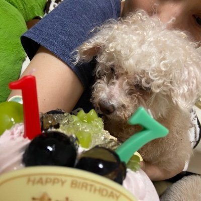 h3zgyi74FBoSke1's profile picture. 