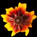 paul Reuter (@pabloreuter4k) Twitter profile photo paul Reuter (@pabloreuter4k) Twitter profile photo