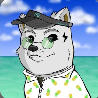 Amit8967's profile picture. 