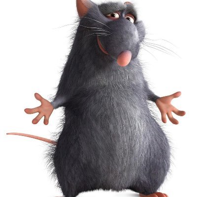 Justaratkfc's profile picture. twitter is sensitive