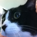 Lisa Bingham - @TheatreBuffy - Twitter