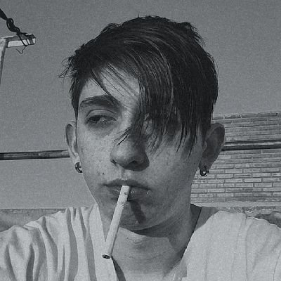 LorenzoPaez19's profile picture. 