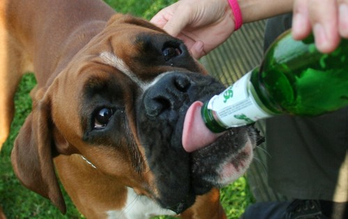 harryh1460's profile picture. 