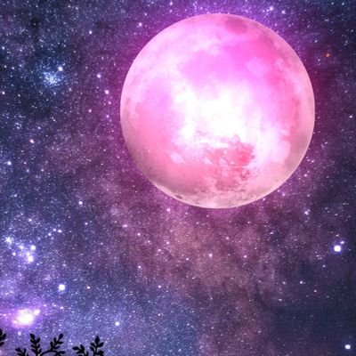 sakuraMsia's profile picture. Make a good day . Don't stress.