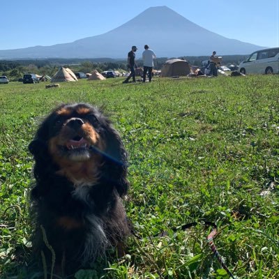 atititiatijapan's profile picture. 神奈川在住🏠ソロキャン、ファミキャン、ちょこちょこソロキャンやってます🏕 無言フォロー歓迎です🙇‍♂️ 今年度より狩猟を始めるべく奮闘中🙇‍♂️🐗2024.12月所持許可