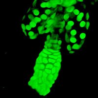 Yi Lab (@yi_lab_nu) 's Twitter Profile