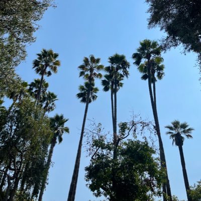 Nativeinsocal's profile picture. man in socal/nsfw