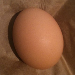 hageljack's profile picture. 