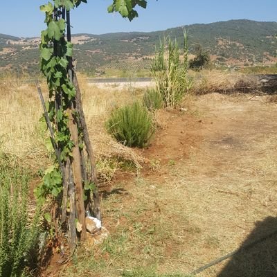 Acha48642841's profile picture. 