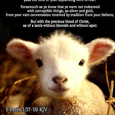 And that's what I believe. Running through the fields of forgiveness thru His grace. / #Free #Forgiven #Christs #JesusIsLordOfLords Psalm 32:7, Job 19 KJV🚫 DMs