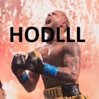 Jake Paul Crypto (@yourmom169) 's Twitter Profile Photo