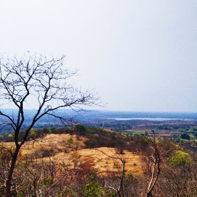 ArchanaRadhakr7's profile picture. 