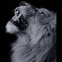 خال - نار / (kkkkkkk056)سنابي (@a1korlribf2s7cw) 's Twitter Profile