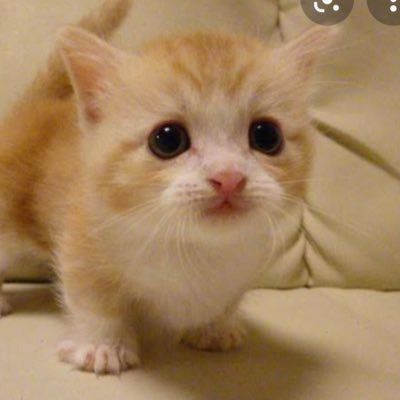 anker0935775's profile picture. 