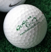 私達のサイト『gogo台湾GOLF』は、台湾のゴルフ場のご予約代行をさせていただくサイトです。ホテル⇔ゴルフ場の送迎込みですので、皆様にはゴルフプレーに集中して楽しんでいただけます。ゴルフ好きの皆様、日本から近い外国で、ゴルフを楽しんでみませんか！
どうぞ当サイトをお気軽にご利用ください。