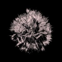 fleurvm (@fleurvm_) 's Twitter Profile Photo fleurvm (@fleurvm_) 's Twitter Profile Photo
