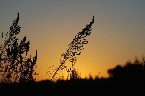 NightJacker's profile picture. Husband/Dad/London/Strategic Comms/Usual Disclaimers