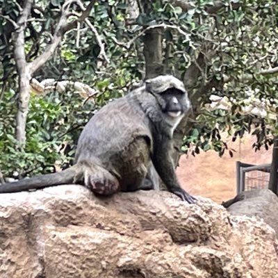 meirrily's profile picture. 100% Human, Made with Natural Flavors.™️