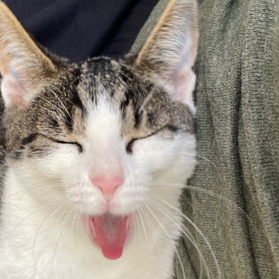 poopiopieswek's profile picture. een liefde♡ 3 sterren 2 woorden ♡Ajax Amsterdam♡ ultimete team ajaxx follow me on insta; @tmro_