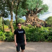 Stefano D'Alfonso (@stefanoluigid) 's Twitter Profile