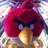 crockinho81's profile image