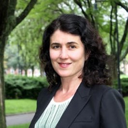 Prof.of Political Science (Nantes)- Harvard Ash Center. Transnational democracy & green politics.