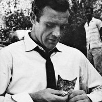 Wishmaster89 (@wishmaster1917) 's Twitter Profile