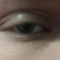 Zatch v1.8 (@versionzatch) 's Twitter Profile