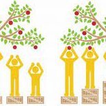 The Food Equity Centre exists to challenge the power and politics that make food systems inequitable.