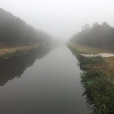 Niek Persoon Profile