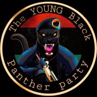 The Young Black Panther Party(@TYBPP1) 's Twitter Profileg