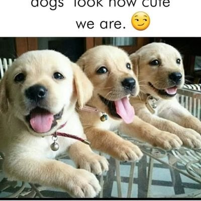 Mathenjwah's profile picture. 