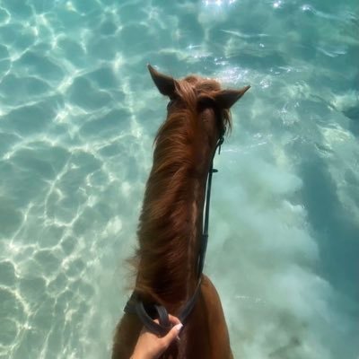 ربِ أغفر لي و لوالديّ 💓 ماجستير في العلوم السياسية و العلاقات الدولية-جامعة الكويت / حــص الـبـحـر 🌊