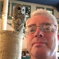 Impeachment (@endfascismnow) 's Twitter Profile
