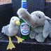 Robbo (@petseagullbrian) Twitter profile photo Robbo (@petseagullbrian) Twitter profile photo