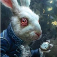 WhiteRabbit(@WhiteR66) 's Twitter Profile Photo