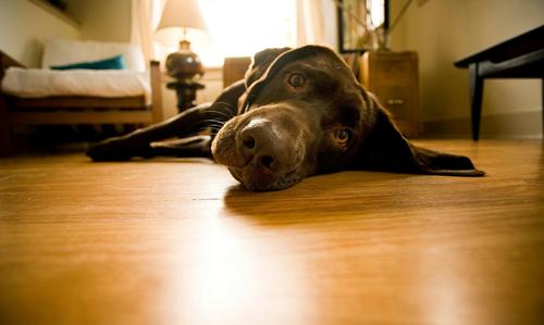 linux_root's profile picture.