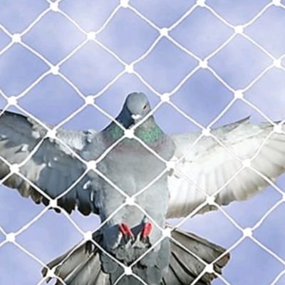 #birdseftynet #antibirdnets #pigeonnets #balconeysafetynets #sportspracticenet #net #childrensafetynet
