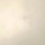 gabeispog's profile picture. he / they : comms open