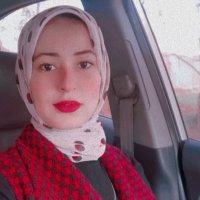 Rabab Hanafy (@rababhanafy3) 's Twitter Profile