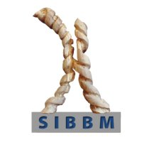 SIBBM (@sibbm_) 's Twitter Profile
