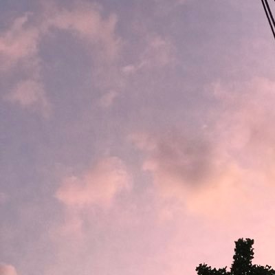 트친소 찾아왔어요~ 구사さんのプロフィール画像
