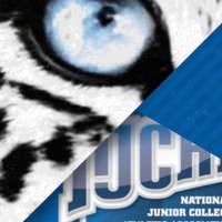 SWIC Blue Storm Athletics (@swicathletics) 's Twitter Profile