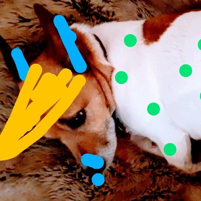 OEimir's profile picture. Energy/Policy/HR/Museums