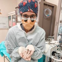 Natalie Wall, MD(@nataliemwall) 's Twitter Profile Photo