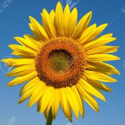 noda2141's profile picture. 