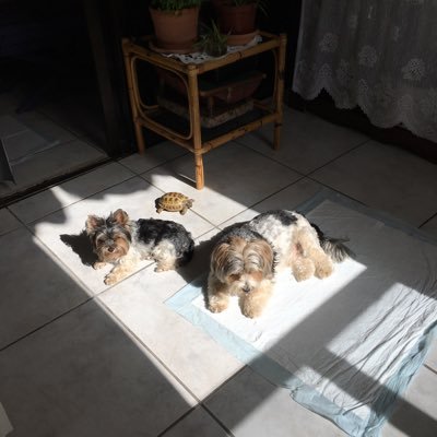 Agns09352645's profile picture. socialista